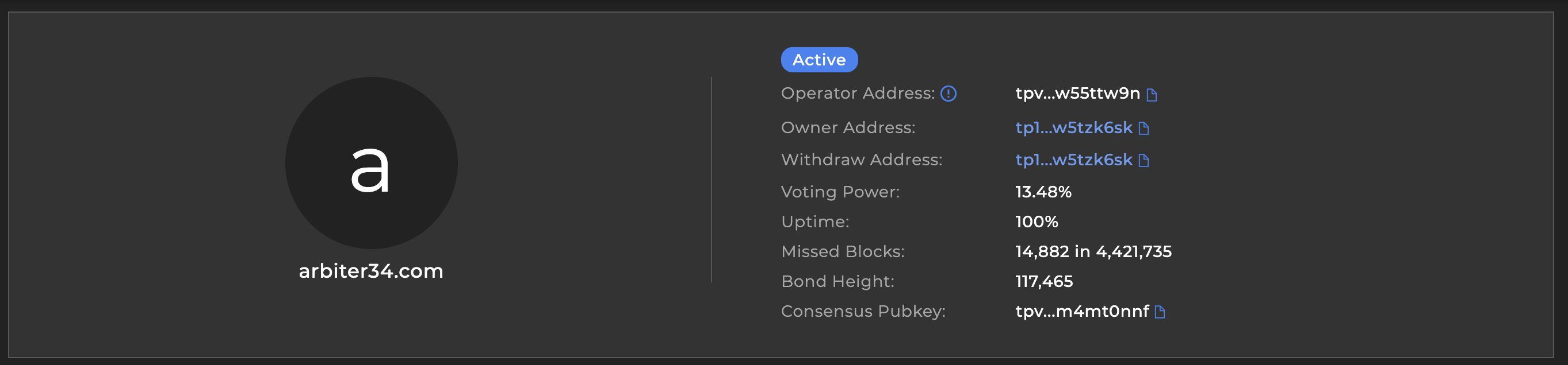 Main Validator details